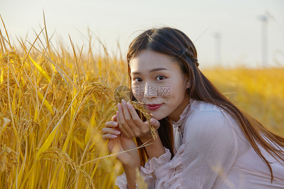 文艺美女在稻田图片
