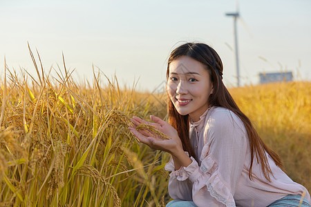 文艺美女在稻田图片