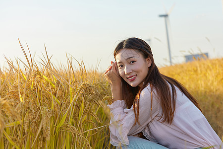 文艺美女在稻田背景图片