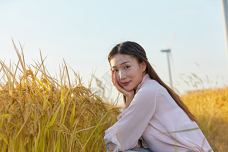 文艺美女在稻田图片