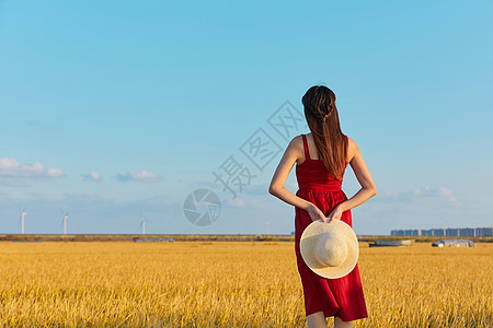 秋分风景文艺清新美女背景