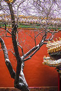 北京故宫雪景图片