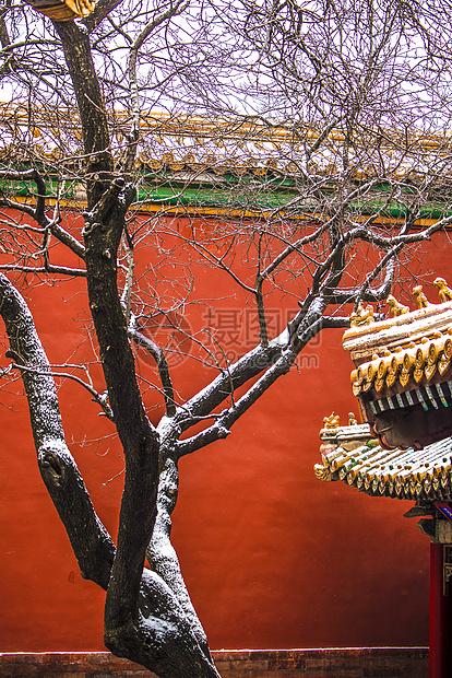 北京故宫雪景图片