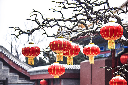 挂雪北京故宫红灯笼之雪背景