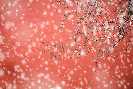 北京故宫红墙的雪景背景图片