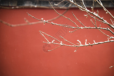 红色中国风背景北京故宫红墙的雪景背景