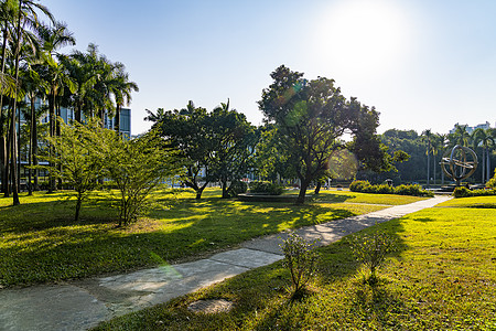 深圳荔枝公园深圳大学的校园背景