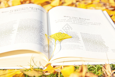 躺在枫叶上读书银杏叶与书本背景