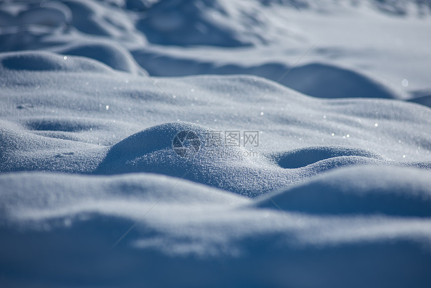 新疆冬季雪景特写图片