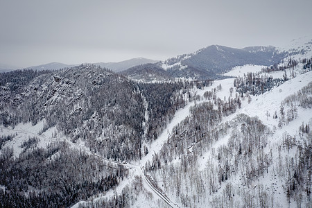 冬天树林航拍新疆喀纳斯雪山森林背景