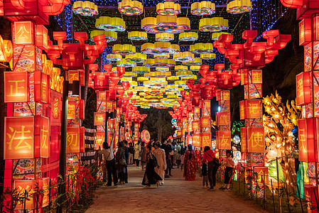 深圳欢乐灯会背景图片