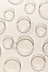 透明玻璃培养皿高清图片