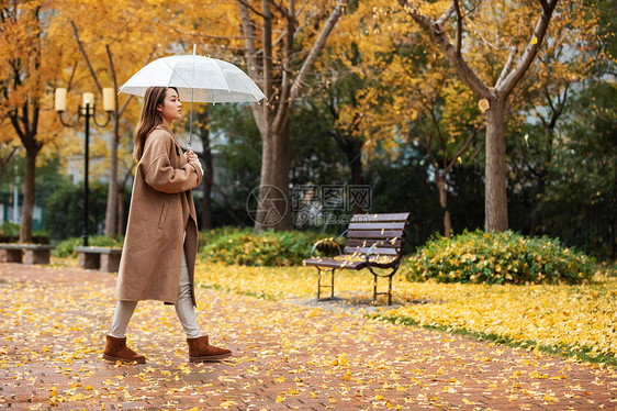 秋季雨天美女撑伞公园散步图片