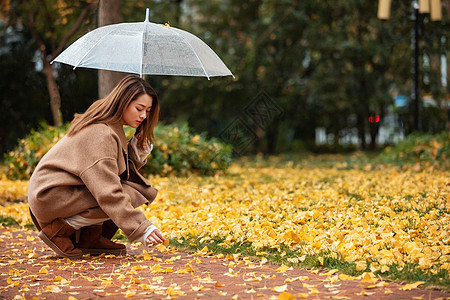 秋季雨天美女撑伞拾银杏叶图片