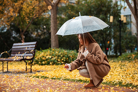 秋季雨天美女撑伞拾银杏叶背景图片