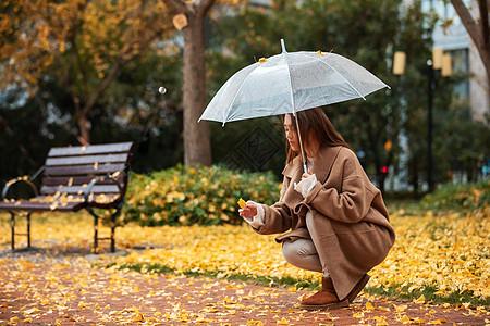 秋季雨天美女撑伞拾银杏叶图片