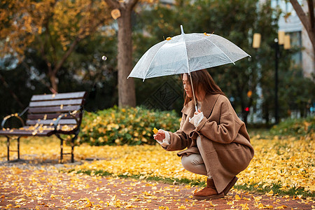 秋季雨天美女撑伞拾银杏叶背景图片