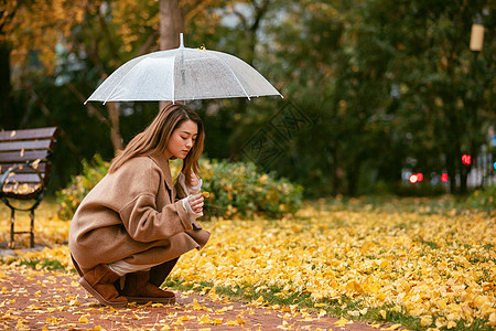 秋季雨天美女撑伞拾银杏叶背景图片