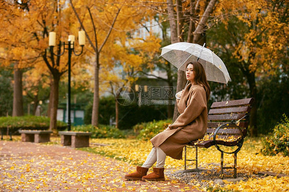 秋季雨天美女银杏落叶撑伞图片