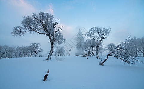 吉林龙湾群国家森林公园冰天雪地雾凇风光吉林风景高清图片素材