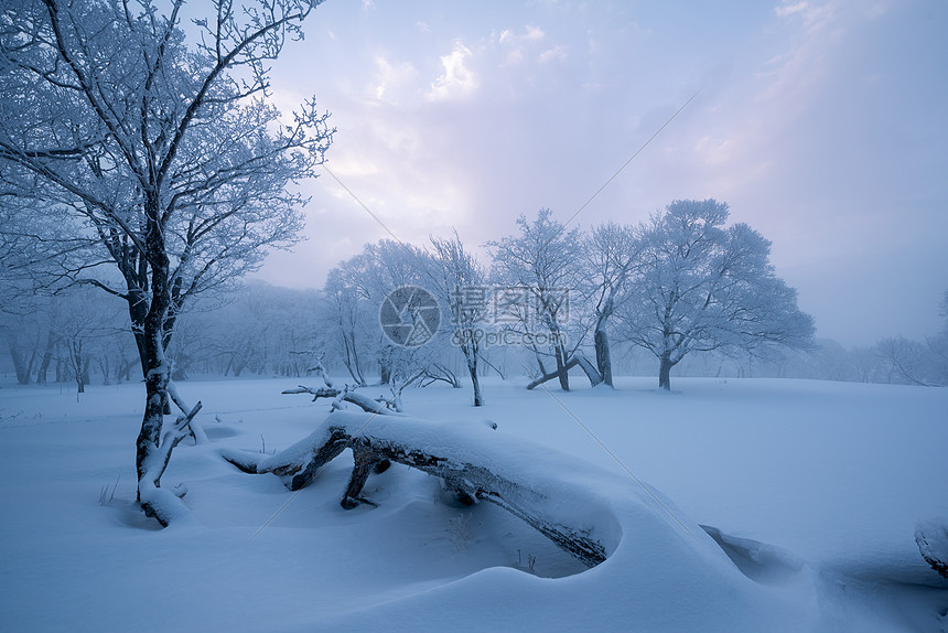 吉林龙湾群国家森林公园冰天雪地雾凇风光图片