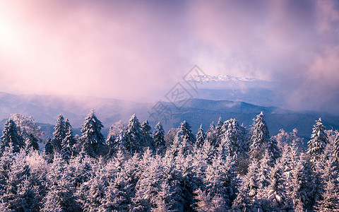夕阳树木冰天雪地雾凇风光背景