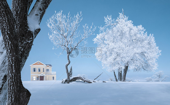 冰天雪地雾凇风光图片