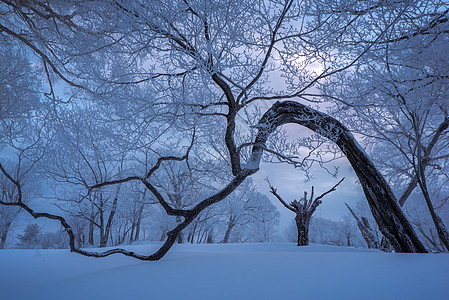 吉林龙湾群自然保护区冰天雪地雾凇风光图片