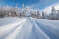 吉林长白山雪地车辙印图片