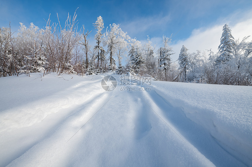 吉林长白山雪地车辙印