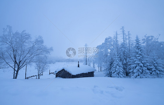 吉林长白山雪岭国家森林公园图片