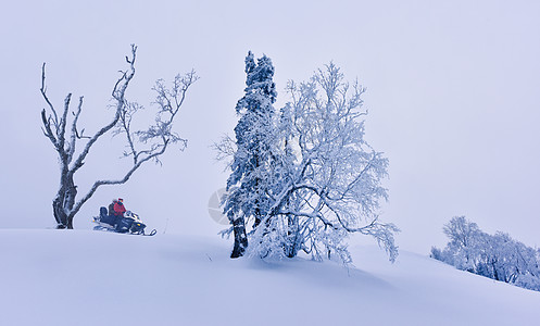 大雪养生吉林长白山雪岭国家森林公园东北冰雪世界骑雪摩托背景