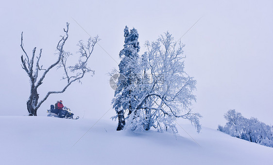 吉林长白山雪岭国家森林公园东北冰雪世界骑雪摩托图片