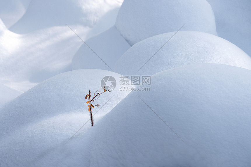 吉林龙湾群国家森林公园东北冰雪特写图片