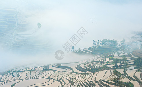 大雾弥漫元阳梯田晨雾弥漫背景