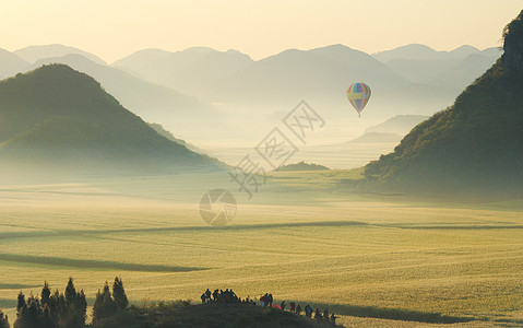 云南夏黑云南油菜花背景