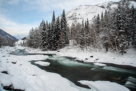 新疆喀纳斯冬季雪景河流松林图片