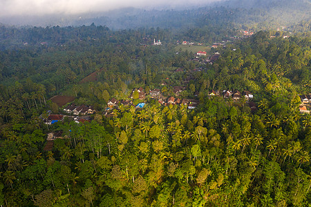 森林航拍印尼热带雨林航拍背景