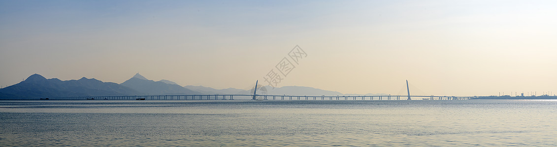 深圳湾公园全景深圳湾大桥背景