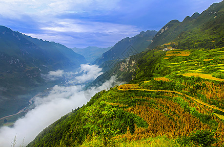 格兰瓦利拉河格所河峡谷秋色背景