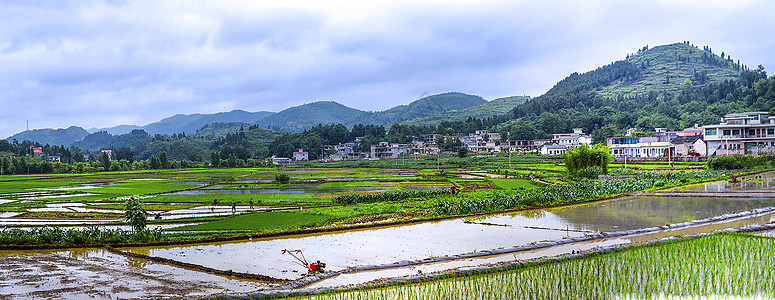 田园美景图片