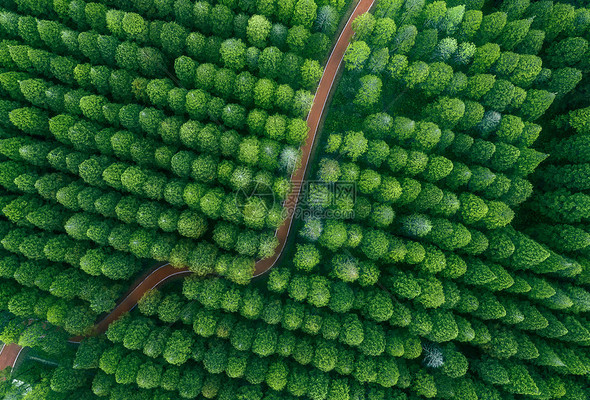 林海草原高清图库