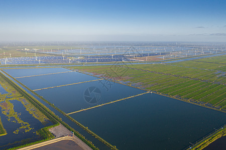 世界风景世界遗产黄海湿地背景