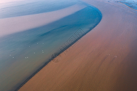 世界遗产黄海湿地图片