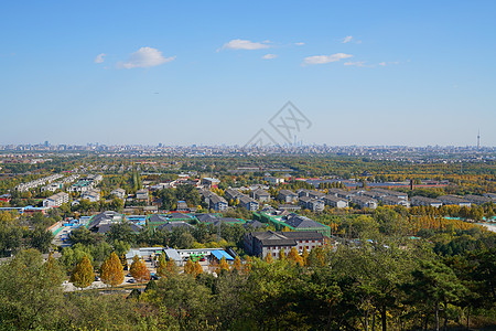 西山国家森林公园山顶风光背景图片