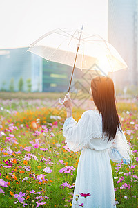 花海少女背影图片