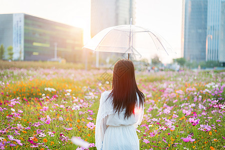 大片花海中的少女背影图片