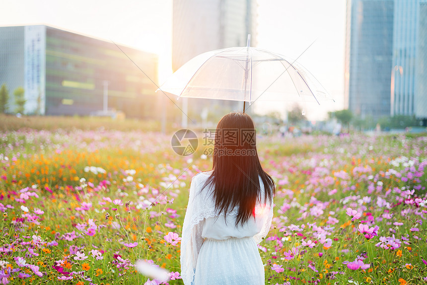 ‘~大片花海中的表妹背影  ~’ 的图片