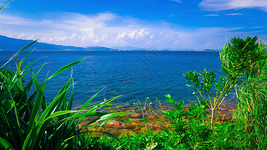 深圳光明新区杨梅坑风光背景