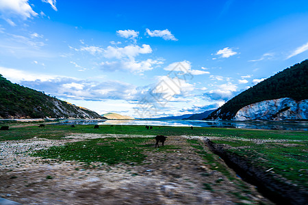 纳帕海草原湖畔图片